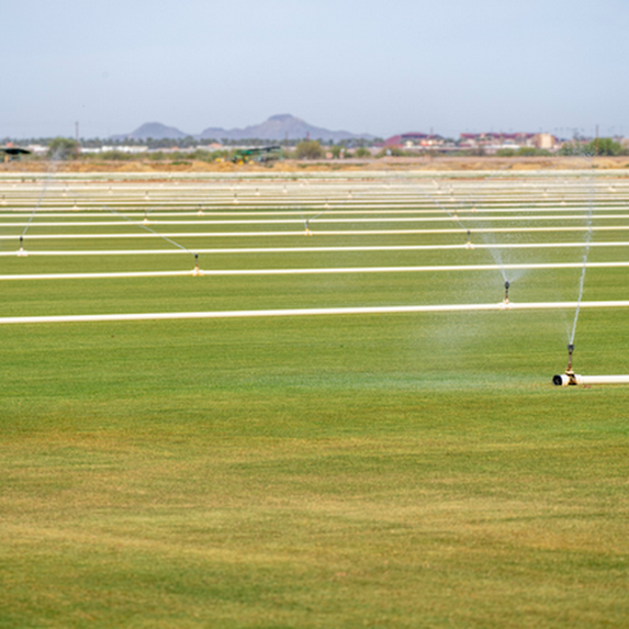 Sprinkler irrigation system on a farm in Cape Town