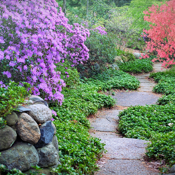 Cape Town Landscaping services in South Africa