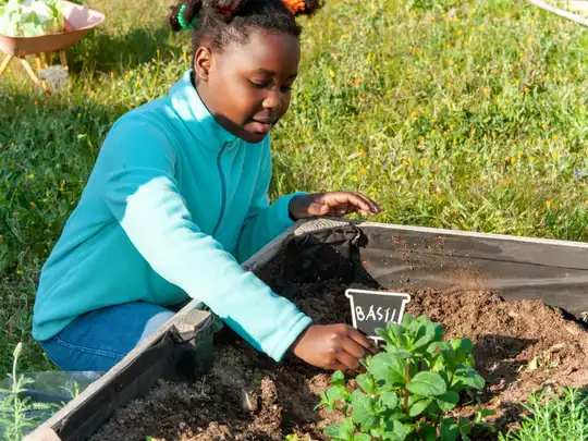 Professionally landscaped garden with beds, lawn and paving