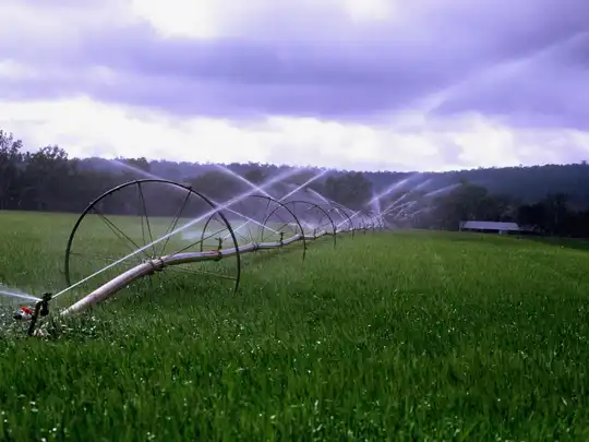 Irrigation supporting a healthy lawn