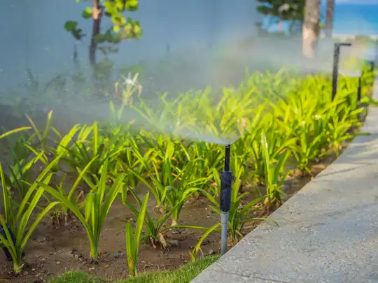 Irrigation system watering a garden lawn