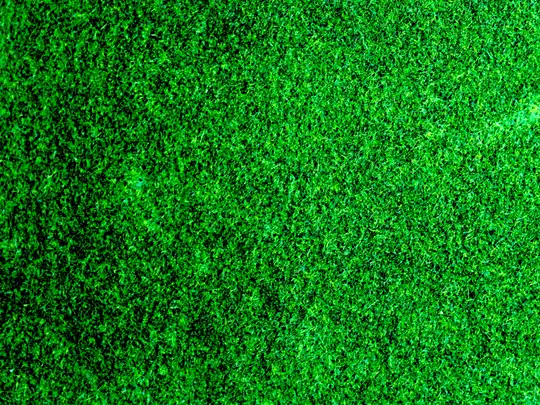 Landscaping and lawn installation project
