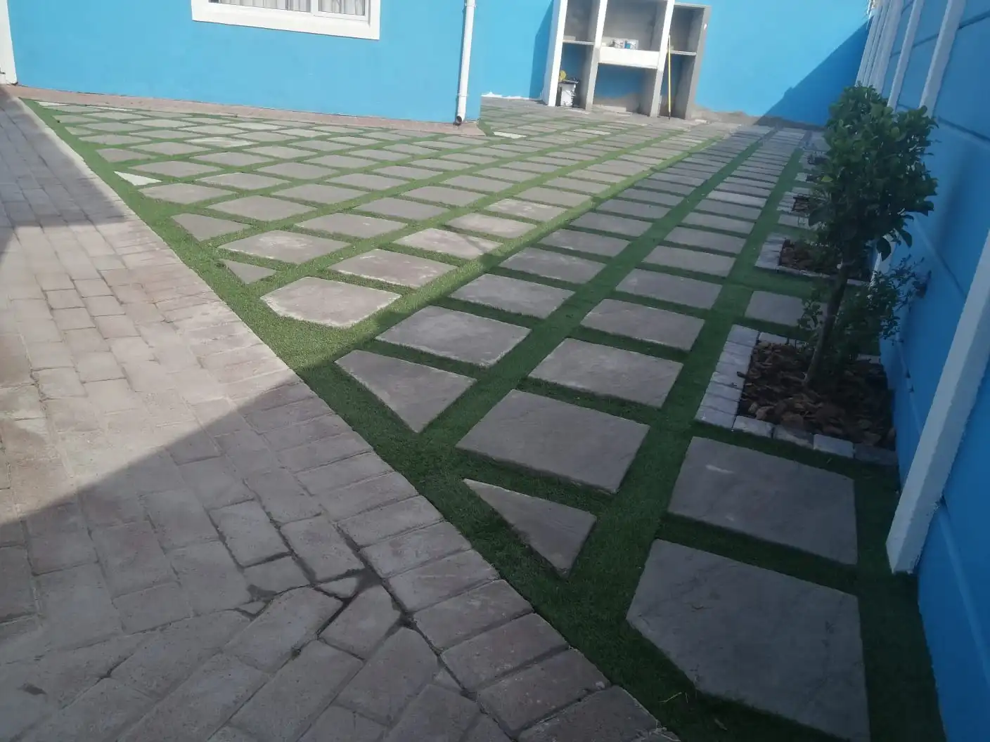 Freshly planted, healthy green lawn